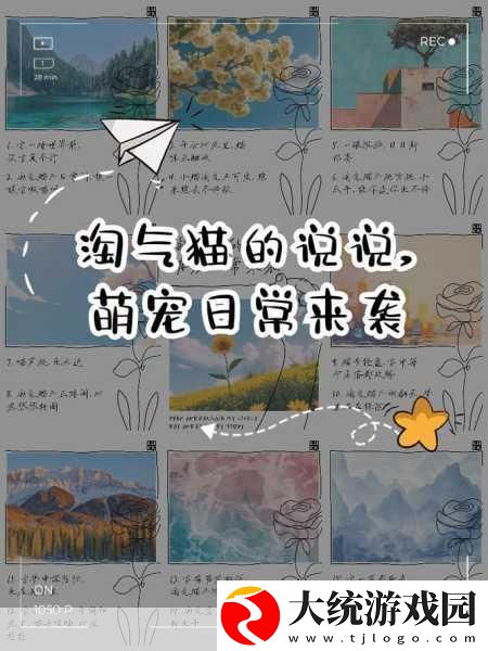 猫了个喵