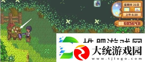 星露谷物语自动抚摸机怎么获得
