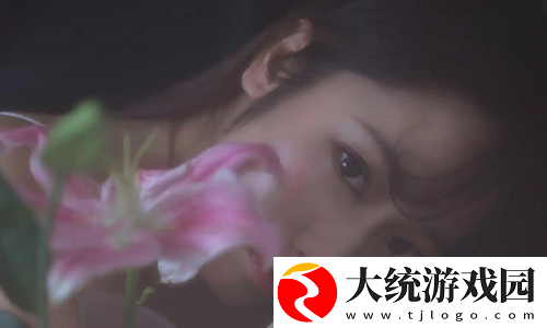 姐姐片多多免费高清电视剧风潮席卷