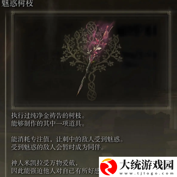 艾尔登法环魔法师块护符怎么获取