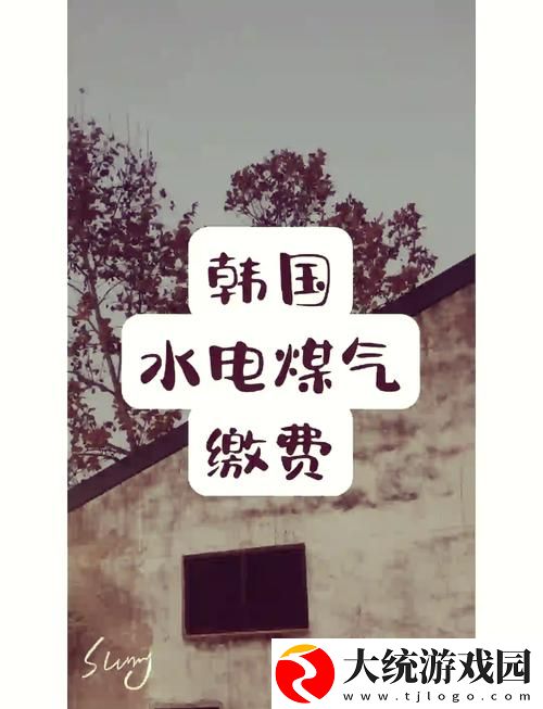 内容丰富好看的韩国三色电费