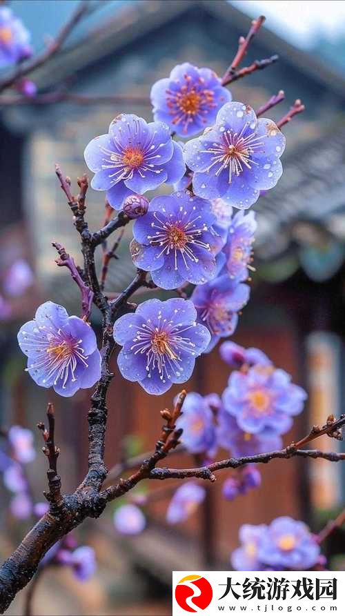 金花瓶楷梅花2