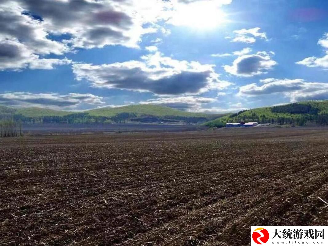 开垦老师肥沃的土地