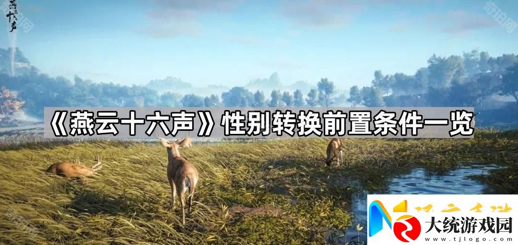 燕云十六声性别转换有什么要求