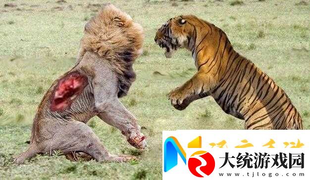 腹黑师兄日常