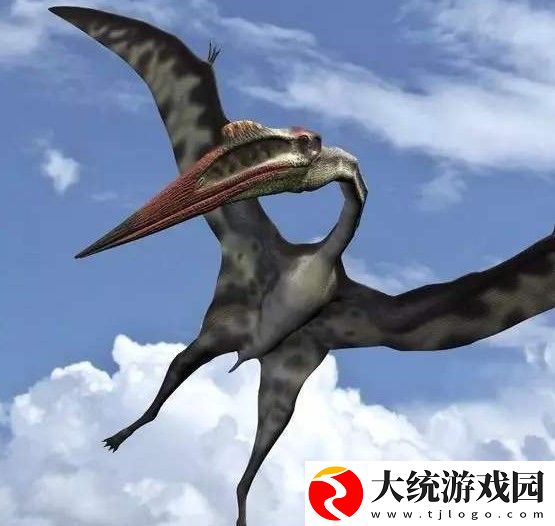 人类已知的最大飞行动物是