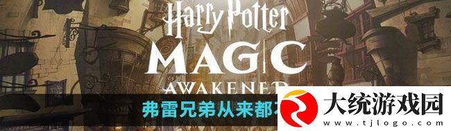 哈利波特魔法觉醒弗雷兄弟从来都不懂拼图位置在哪