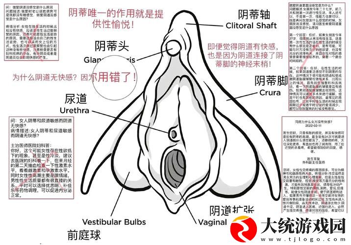 第一次处破女18分钟好痛
