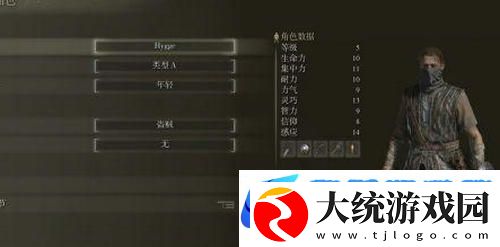 艾尔登法环盗贼弓箭流厉害吗