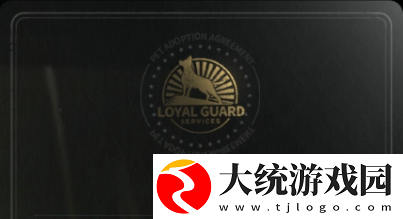 萤火突击诺亚怎么样