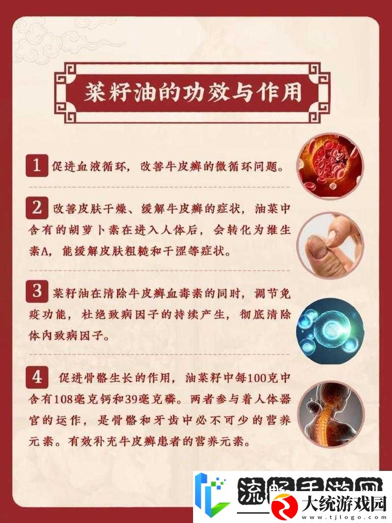 藏秘四十八油有何功效与作用