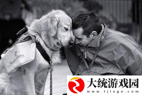 探讨“人物动物交互狗剧情”的深度与温情