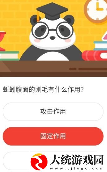 蚯蚓腹面的刚毛有什么作用
