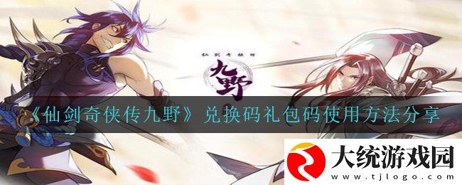 仙剑奇侠传九野兑换码礼包码怎么使用