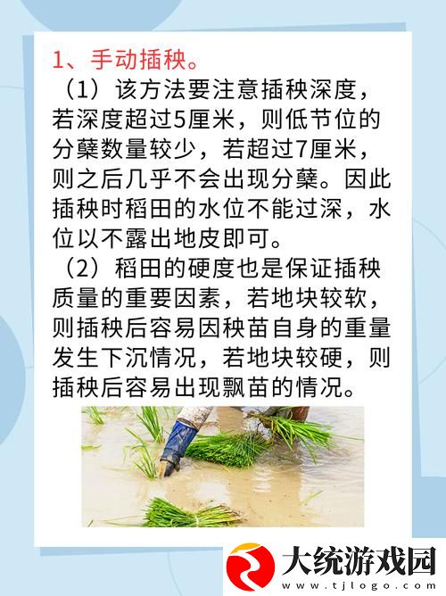 探索“夫妻插秧38种攻略图片大全”的乐趣与智慧