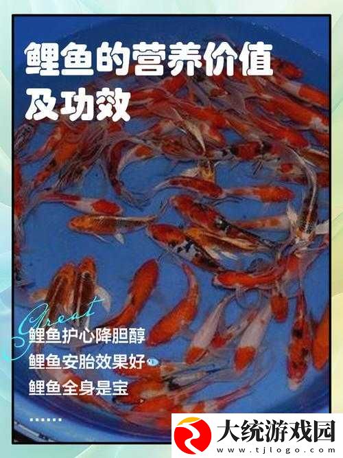 一夹一摇和鲫鱼吸水一样吗