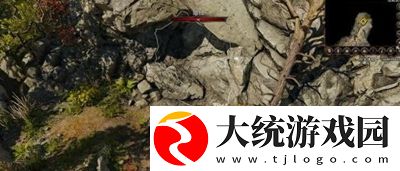 博德之门3第十一章任务怎么做