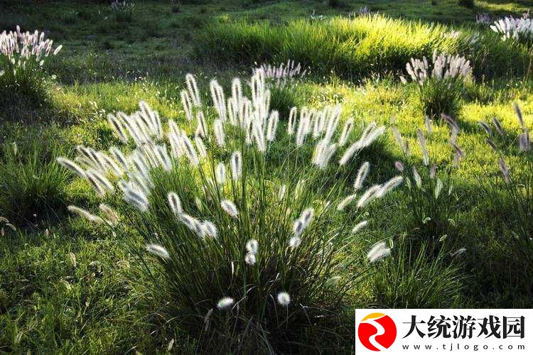 青青河边草