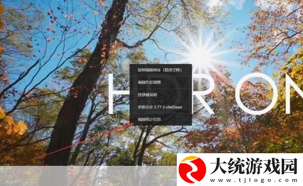 谷歌浏览器
