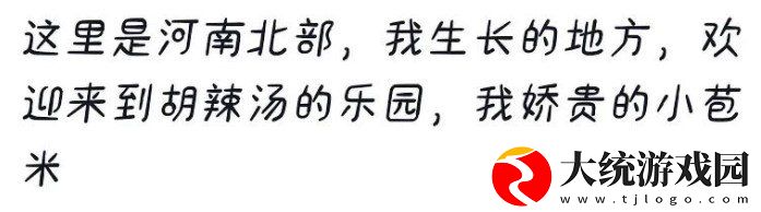 这里是缅甸北部文案
