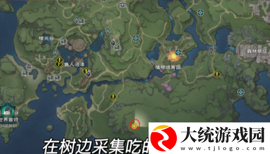 塔瑞斯世界迷雾森林宝箱在哪