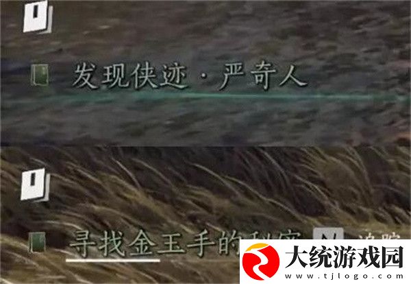 燕云十六声侠迹卷三严奇人任务怎么做