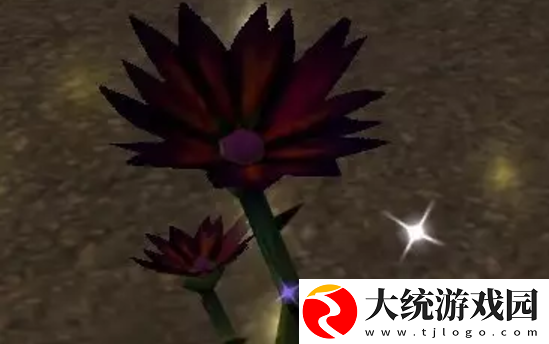 魔兽世界纪念服黑莲花采集地点详细解析