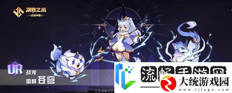 决胜之心战宠介绍