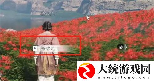 燕云十六声花中愿任务怎么做