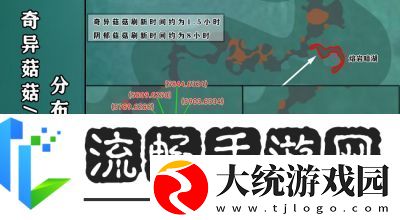 深入解析创造与魔法战宠排名助你打造最强战斗伙伴！