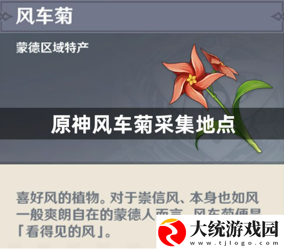 原神风车菊采集地点在哪