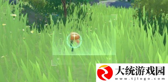 原神带有黄色的采集物在什么地方