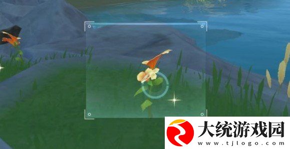 原神带有黄色的采集物在什么地方
