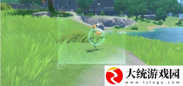 原神带有黄色的采集物在什么地方