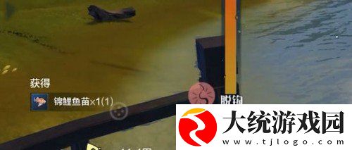 妄想山海锦鲤鱼苗在哪