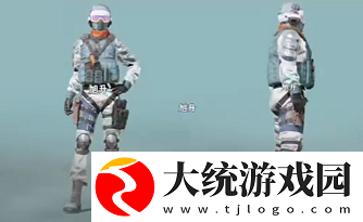 和平精英ss12手册是什么