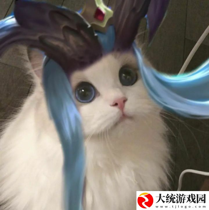 王者荣耀五黑头像猫咪