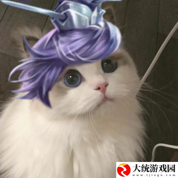 王者荣耀五黑头像猫咪