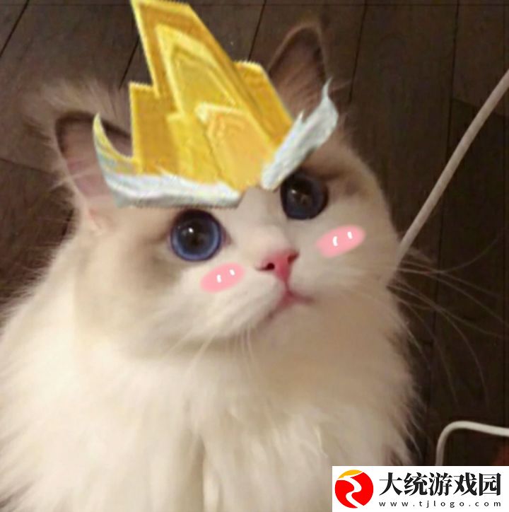 王者荣耀五黑头像猫咪