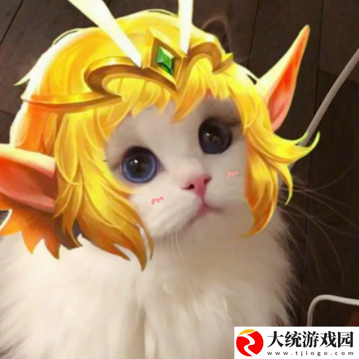 王者荣耀五黑头像猫咪