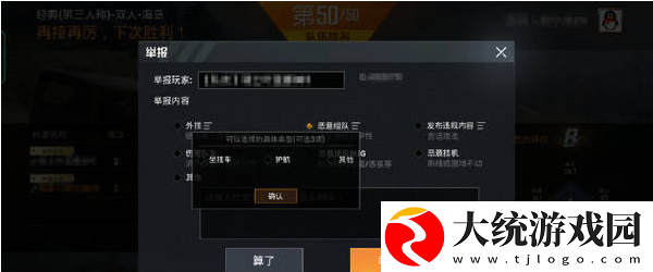 和平精英举报系统新增了什么选项