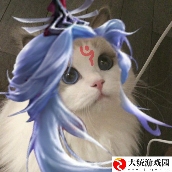 王者荣耀五黑头像猫咪