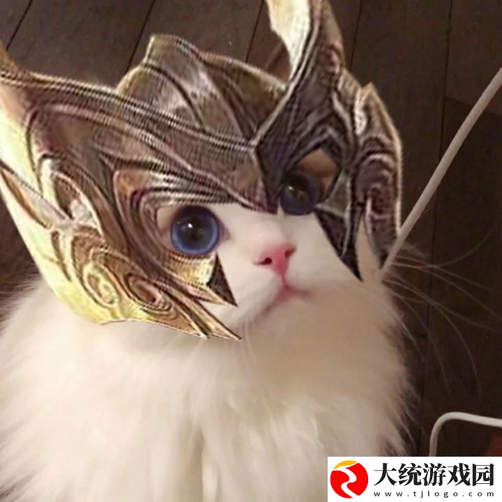 王者荣耀五黑头像猫咪