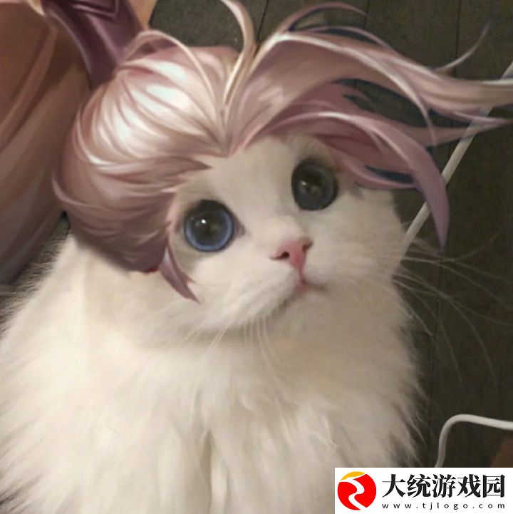 王者荣耀五黑头像猫咪