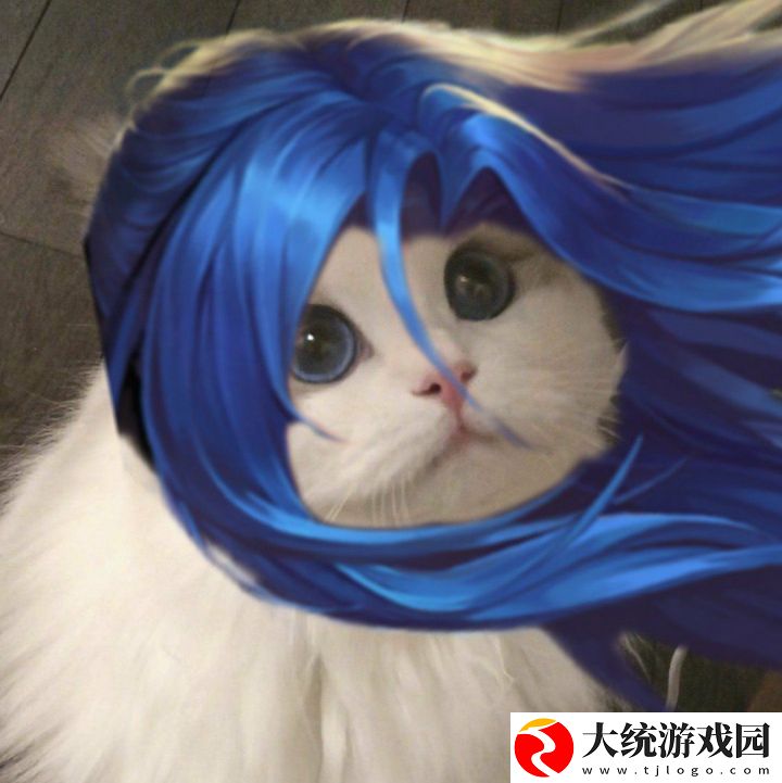 王者荣耀五黑头像猫咪