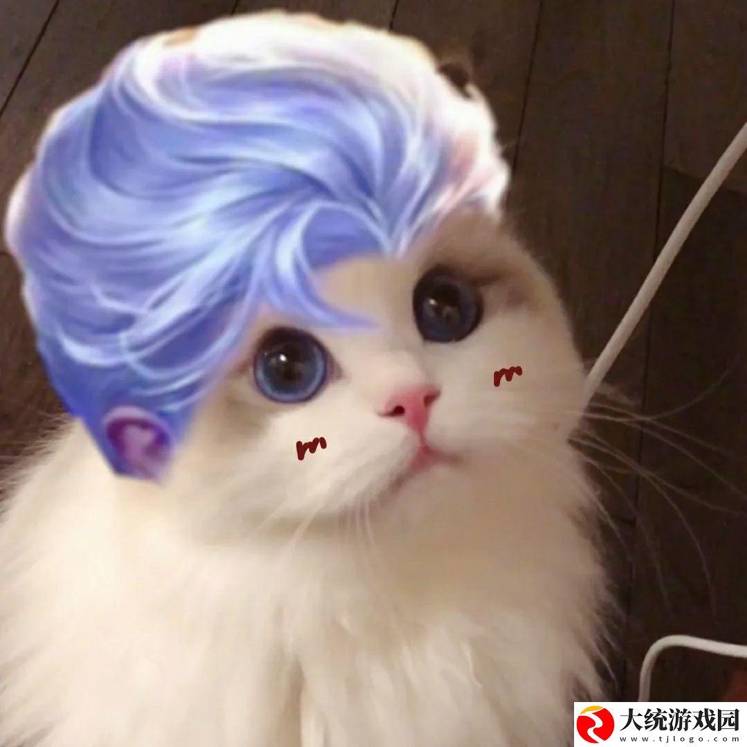 王者荣耀五黑头像猫咪