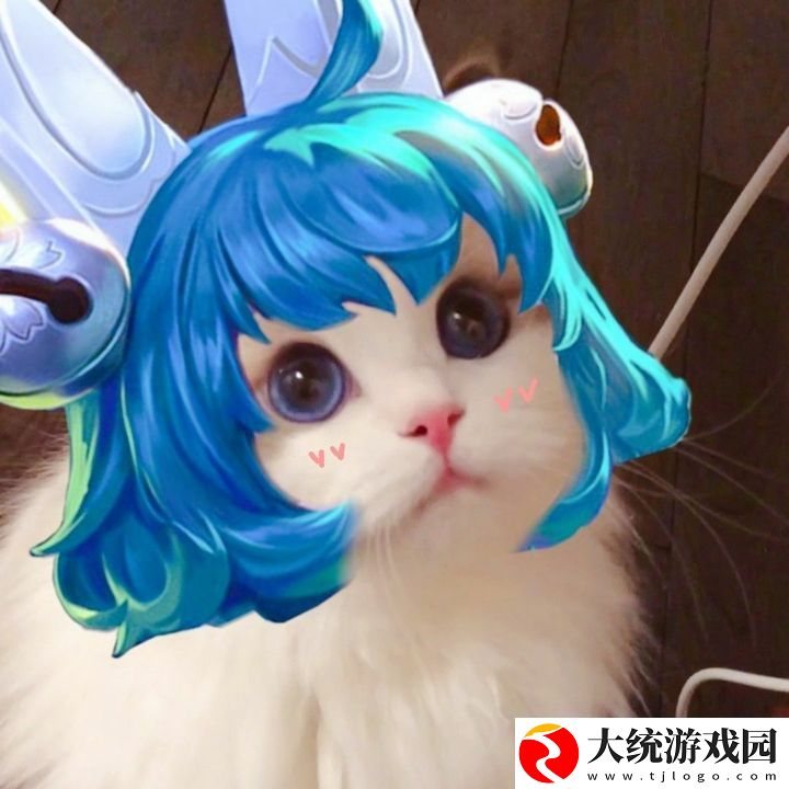 王者荣耀五黑头像猫咪