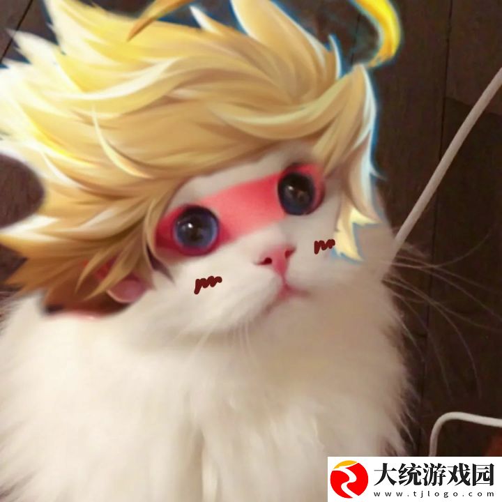王者荣耀五黑头像猫咪