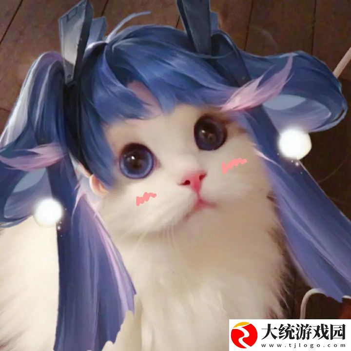 王者荣耀五黑头像猫咪