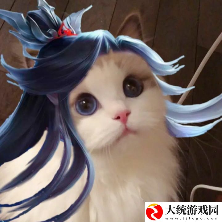 王者荣耀五黑头像猫咪